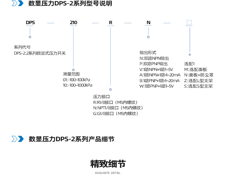 DPS2系列