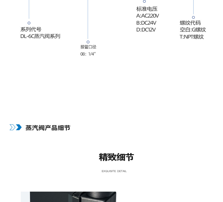 DL-6C二位二通蒸汽阀