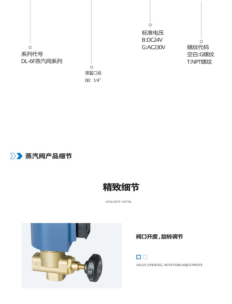 DL-6F二位二通蒸汽阀