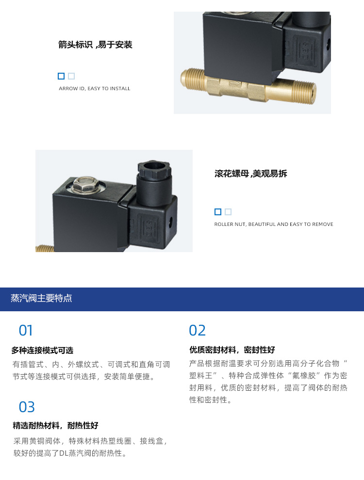 DL-6B二位二通蒸汽阀