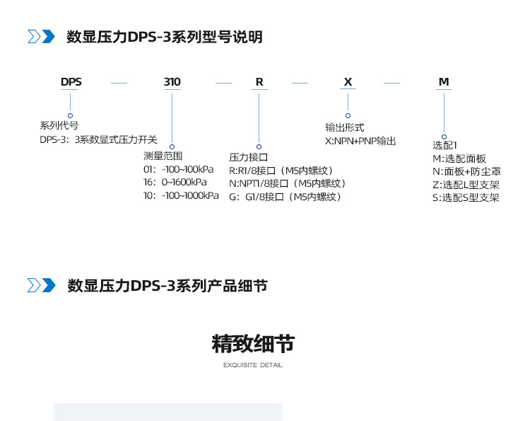 DPS3系列