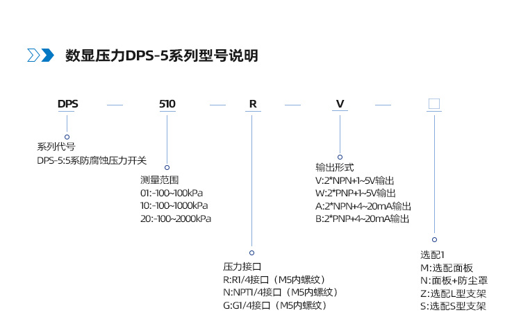 DPS5系列